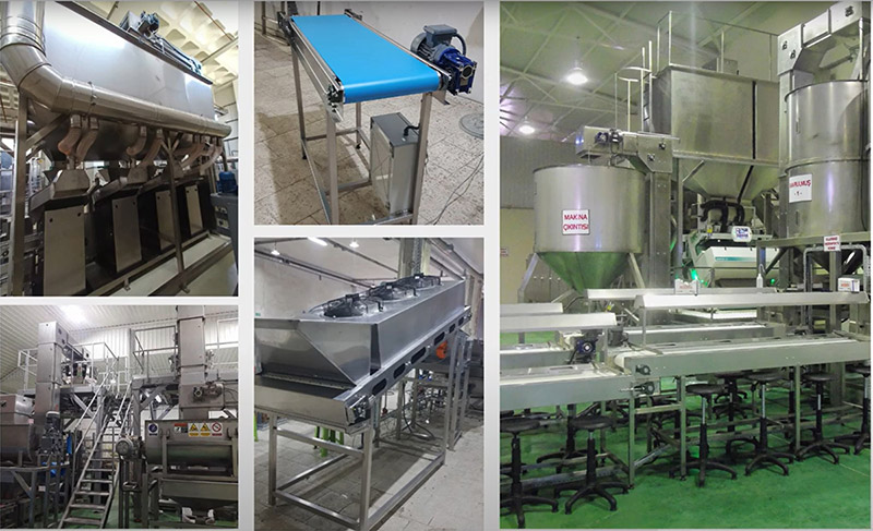 Suiser Makine - Kuruyemiş ve Kuru Meyve işleme sistemleri